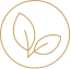לוגו צמחוניים